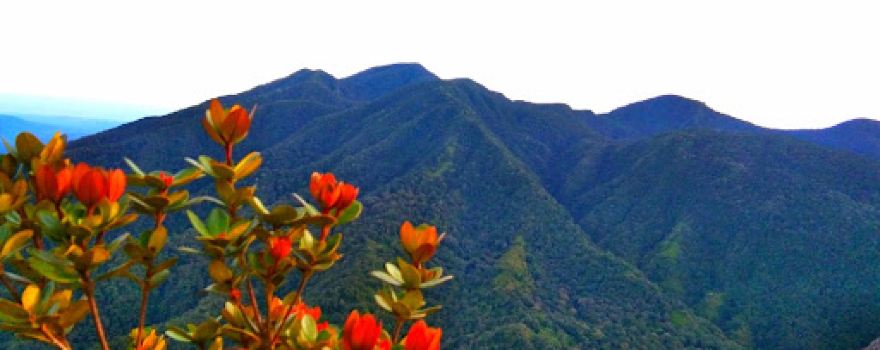 Puncak Burni Telong