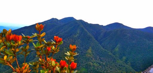 Gunung Burni Telong