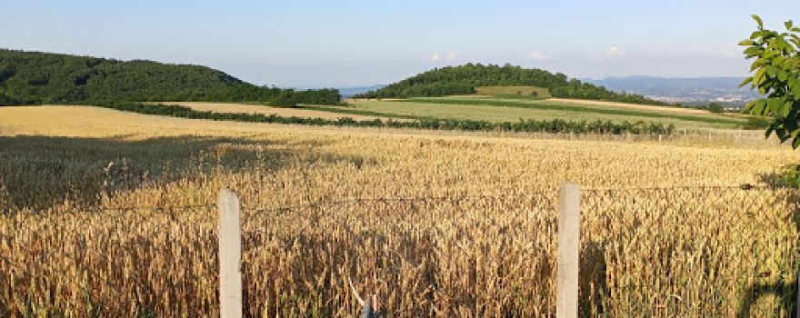 Polja, Drača, Kragujevac, Srbija