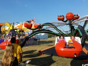 Fowlerville Family Fair