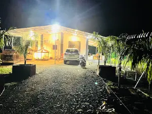 Nanacha Farm - Lemon Tree