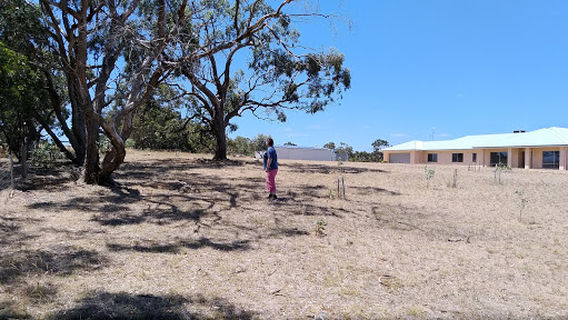 Lyndoch