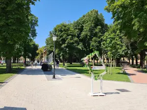 Vinkovački korzo