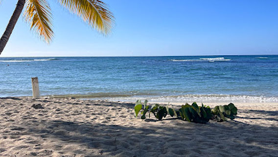 Playita Hemingway