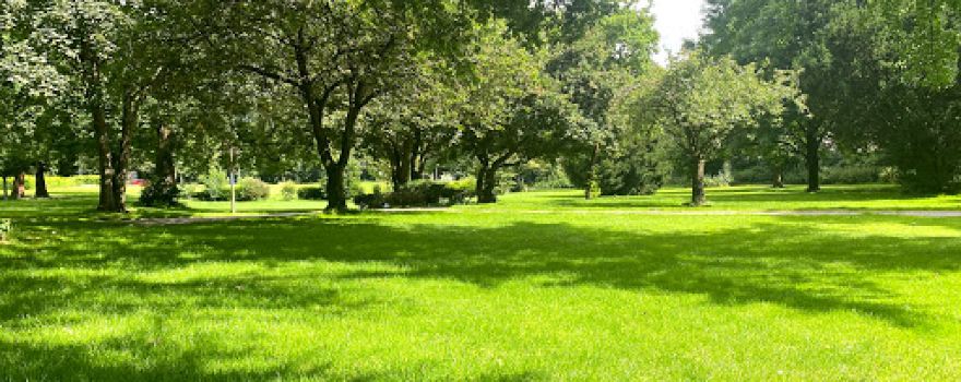 Stadt Park