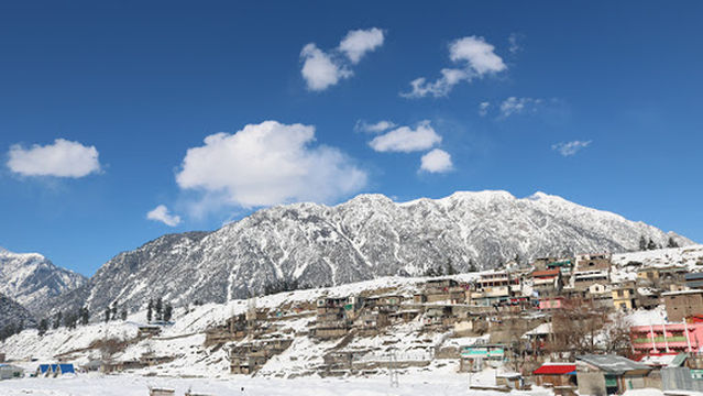 Usho Forest (Plain Forest)