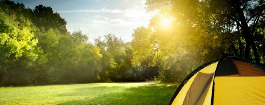 Camping Eden Park