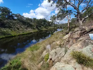 Bemboka Platypus Reserve