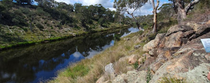 Bemboka Platypus Reserve