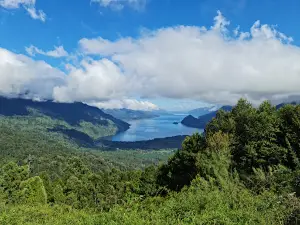 National Reserve Mocho-Choshuenco