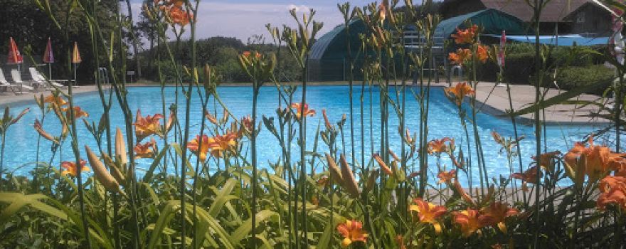 Schwimmbad Mühledorf