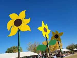 Mesilla Valley Maze