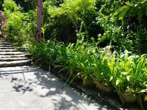 Khu du lịch Sinh thái Suối Chí