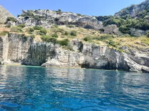 Lido Boat Tours