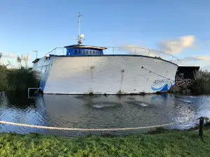 Acuario Temático