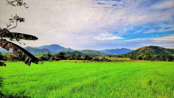 Brgy Nambalan Mayantoc Tarlac