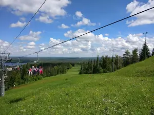 Nechkinskiy Natsional'nyy Park