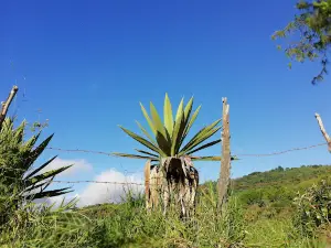Parque Principal Mondomo