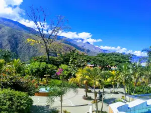 Parque Grau