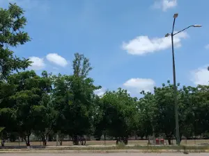 Deportivo Culiacancito