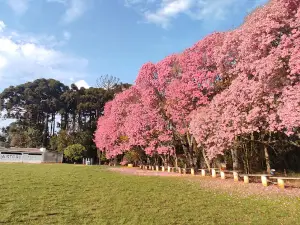 Santuario Santa Rita