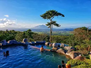 Hibiscus Camp
