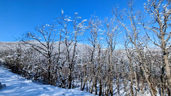 Altiaghaj National Park