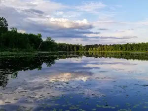 Two Inlets State Forest