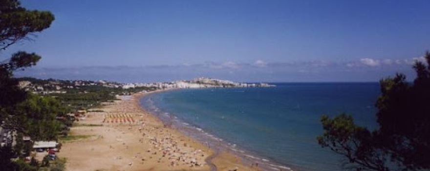 "Dzika plaża"Jezioro Miedwie Morzyczyn