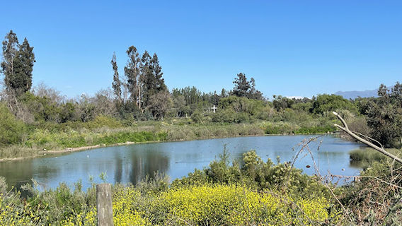 Isla de Maipo