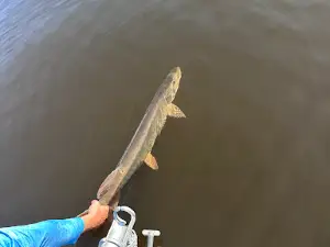 Savage Fishing Guide Service