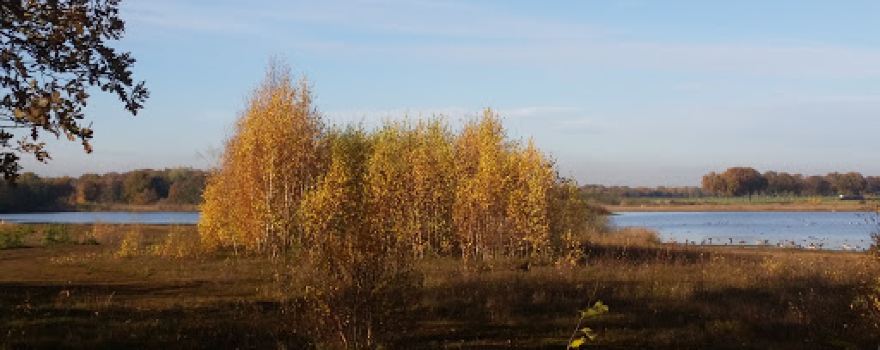 Dagcamping De Houtsberg