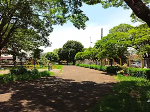 Ceper do Primeiro Plano