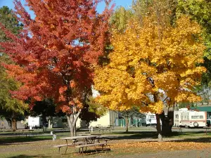 Ellensburg KOA Journey
