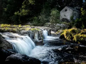 Cenarth Falls Resort