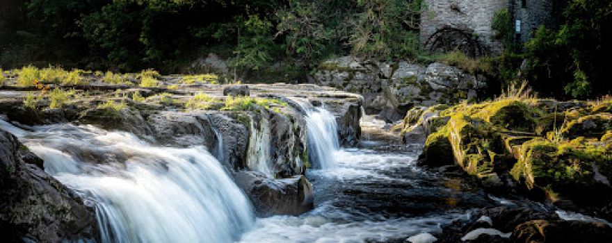 Cenarth Falls Resort
