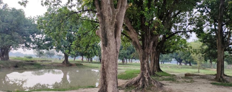 Baram Baba Park