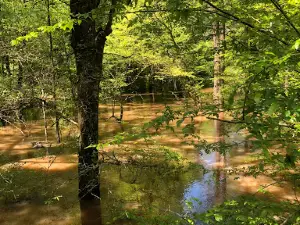 Burnside State Park