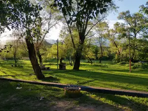 Camping Los Sauces