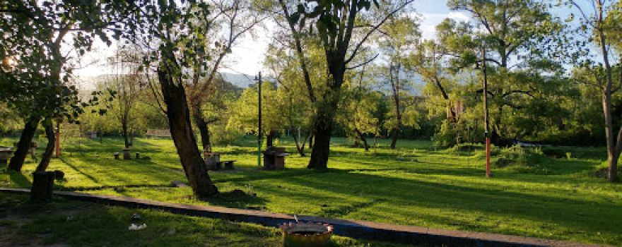 Camping Los Sauces