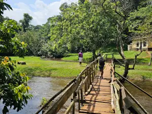 Ssezibwa Falls Resort