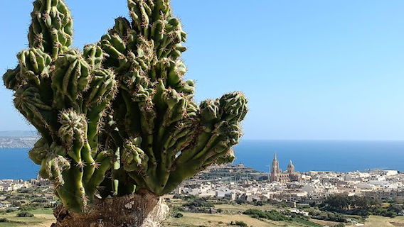 Walking area Nadur