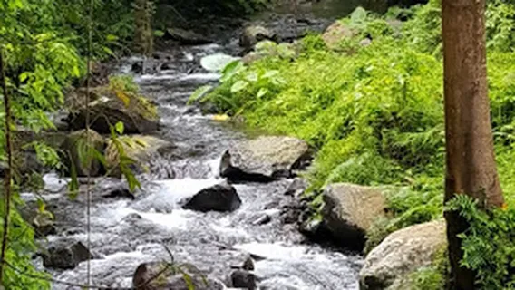 Senaru Traditional Village