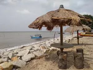 Medang cape coast (North Rupat)