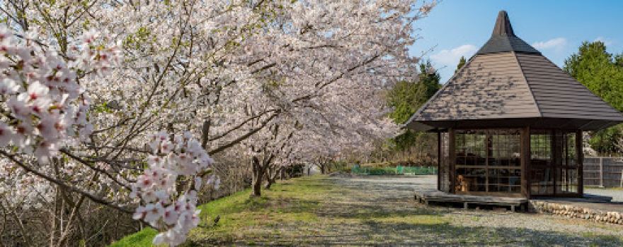 Kumenanutsukushiimori Camping Ground