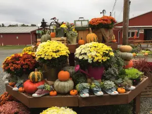 The Windmill Farm & Craft Market