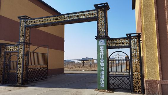 hei long jiang ying qi ma shu ju le bu ( an da dian )