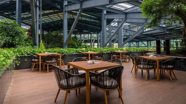 Yunsheju Tent Camping Site