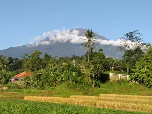 Taman Alun Alun Cilimus