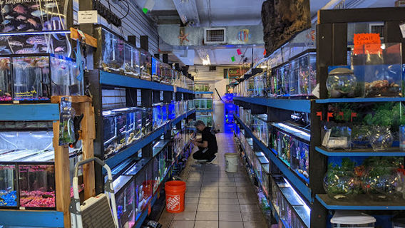 The Fish Hut of New Jersey